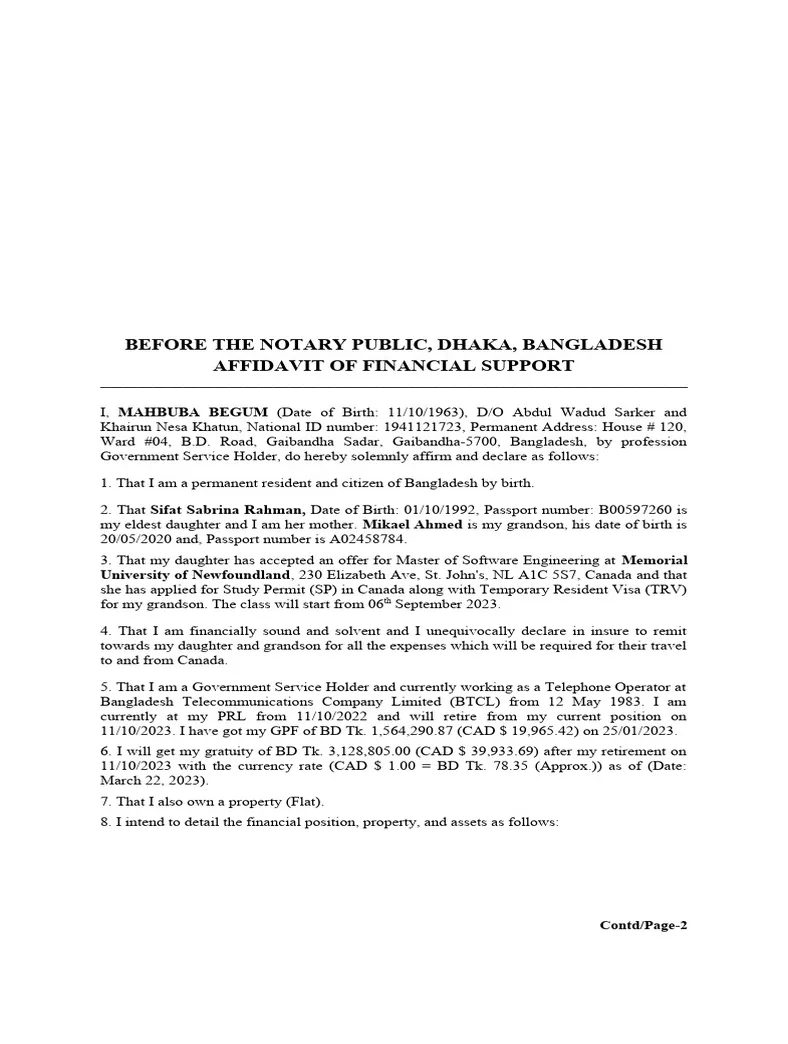 Financial affidavit mother pdf affidavit money