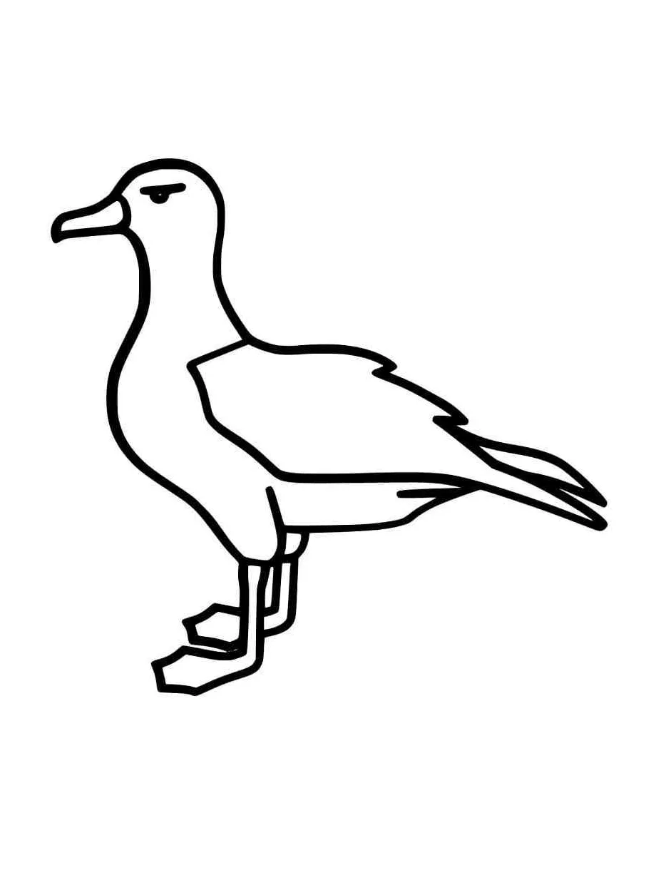 Common printable coloring page