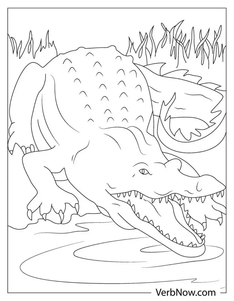 Free alligator coloring pages for download printable pdf