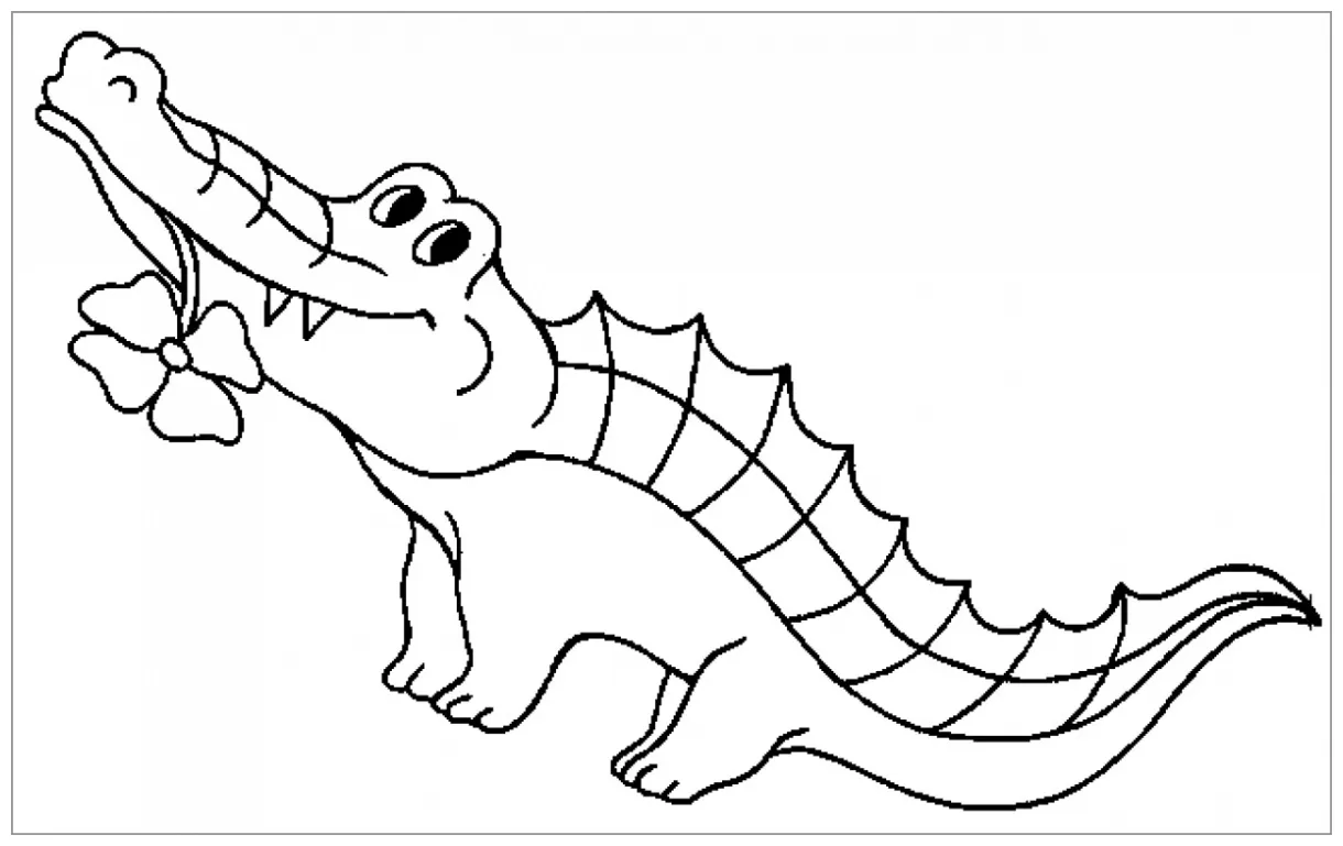 Alligator head coloring page coloringbay