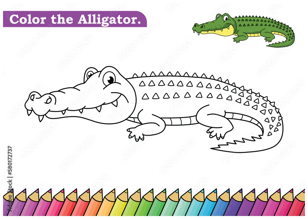 Coloring page for alligator vector illustration. kindergarten children