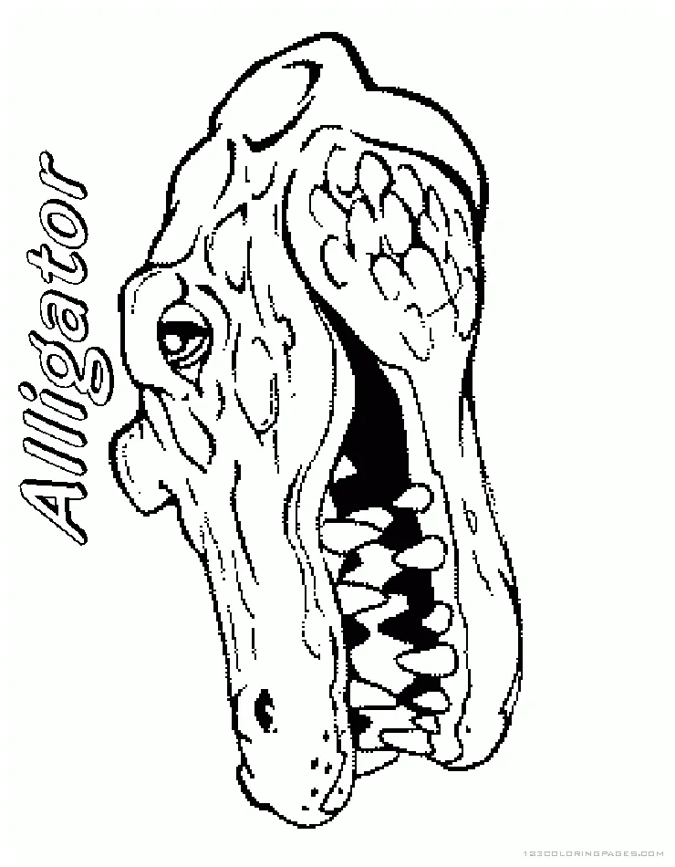 Alligator coloring pages part 2