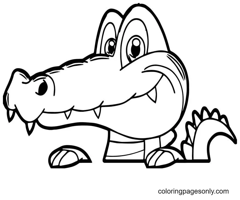 59 alligator coloring pages coloringpagesonly printable coloring page