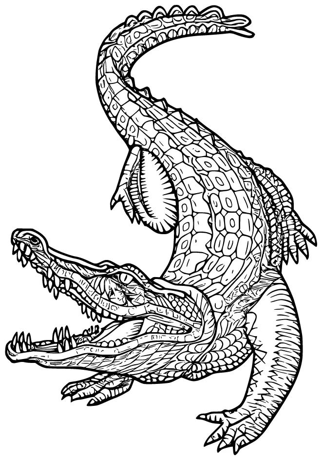 Alligator coloring pages 100% free, printable & fun
