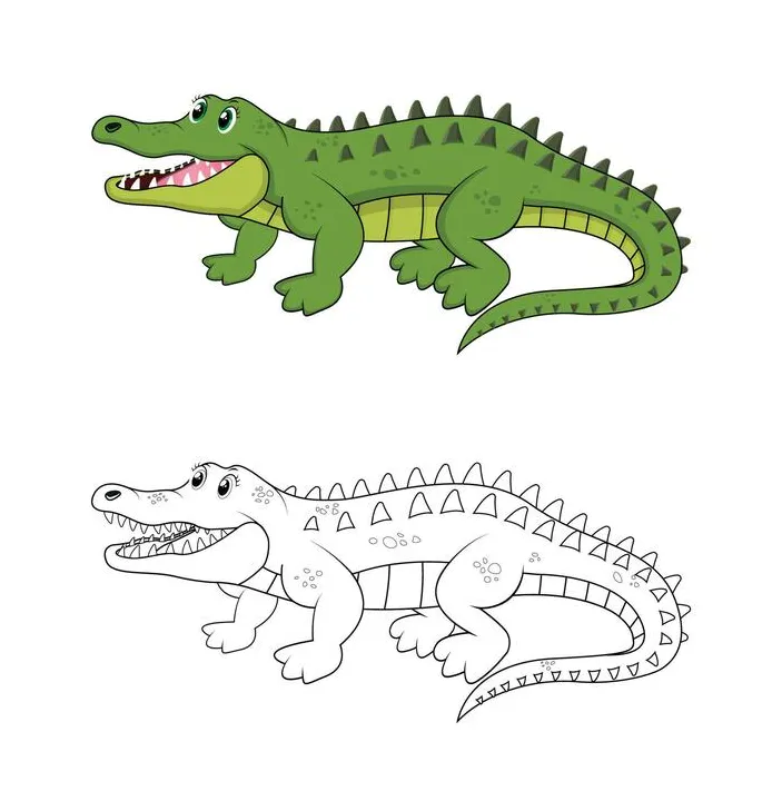 Alligator coloring page vector art, icons, and graphics for