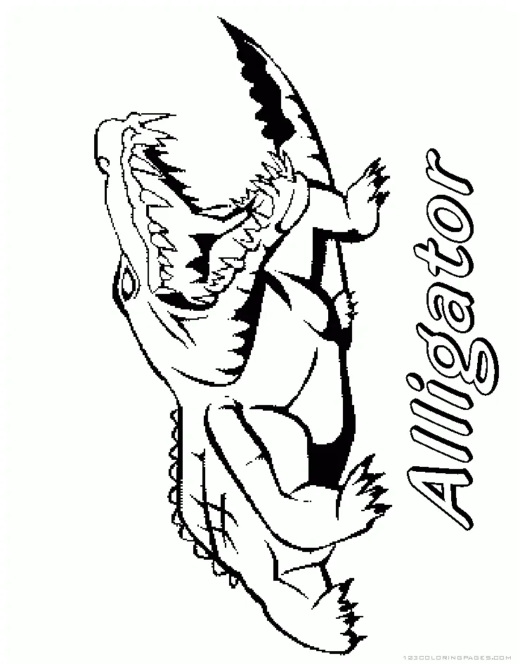 Alligator coloring pages