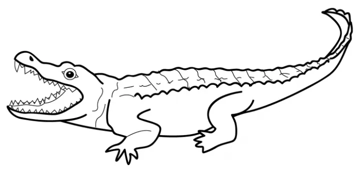 Clipart panda free clipart s