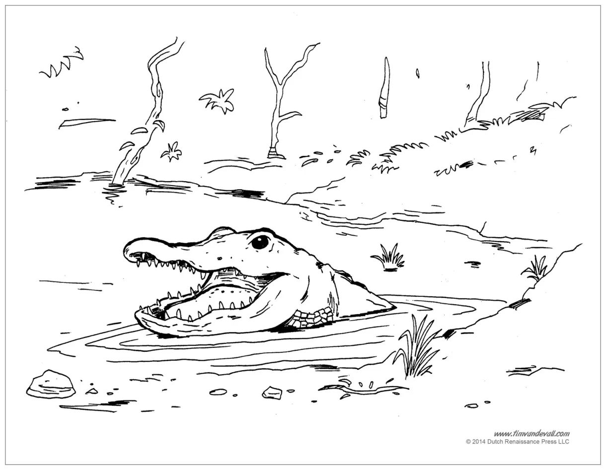 Alligator coloring pages coloringbay
