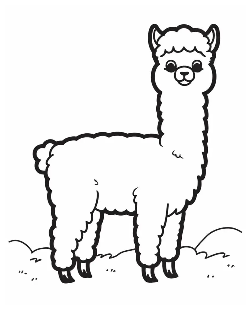 Normal alpaca coloring page download, print or color online for free