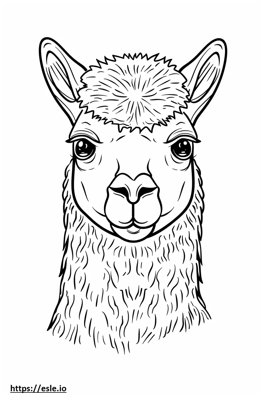 Alpaca kawaii coloring page printable coloring page