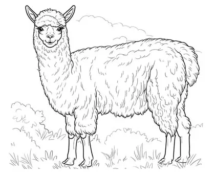 Printable alpaca coloring pages