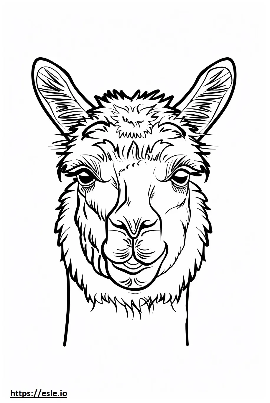 Alpaca face coloring page
