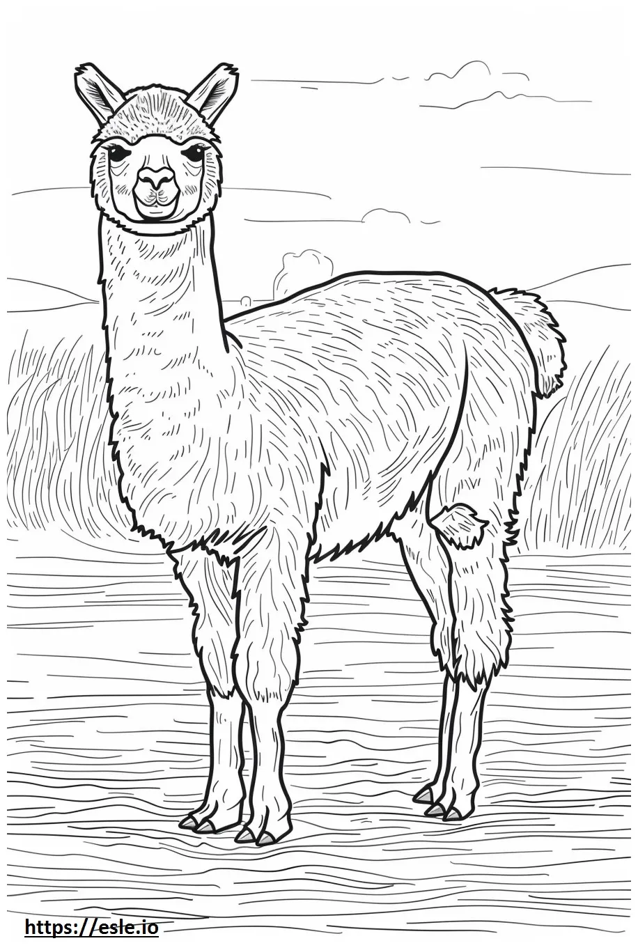 Alpaca happy coloring page