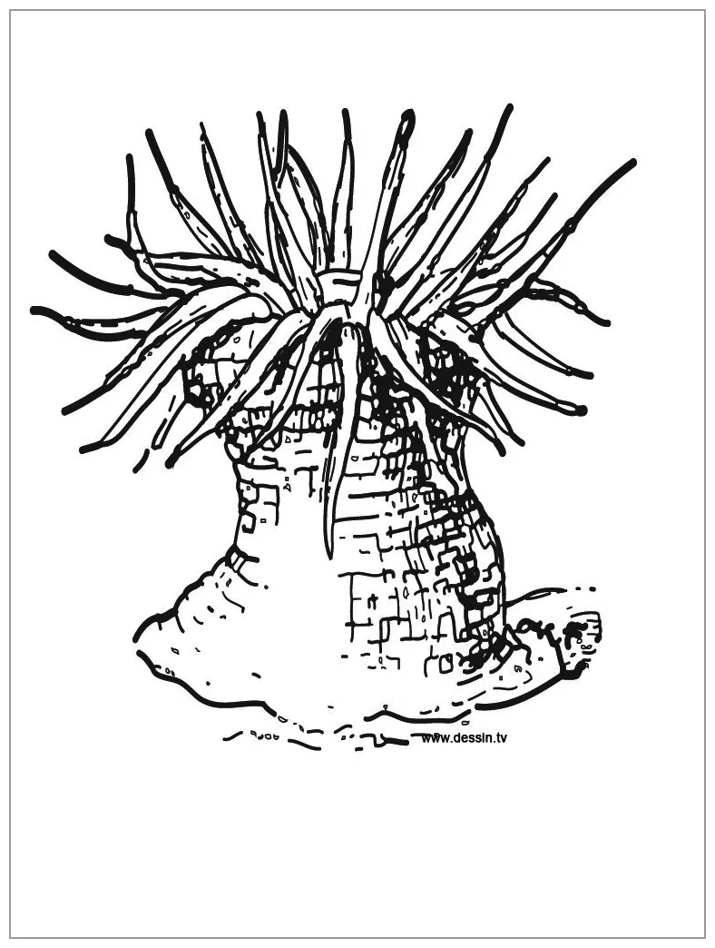 S coloringbay printable coloring page