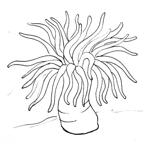 At getcolorings free printable colorings