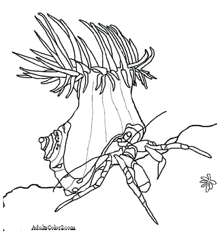 At getcolorings free printable colorings