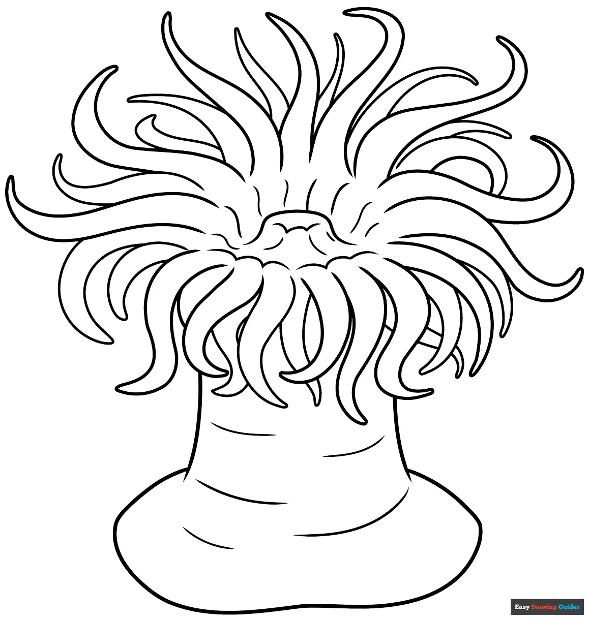 Sea easy drawing guides