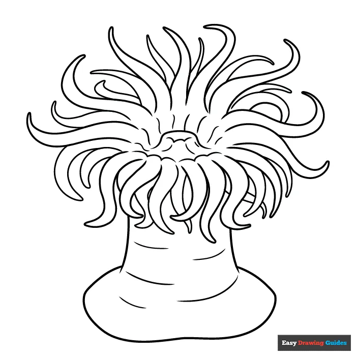 Sea Anemone Coloring Page | Easy Drawing Guides