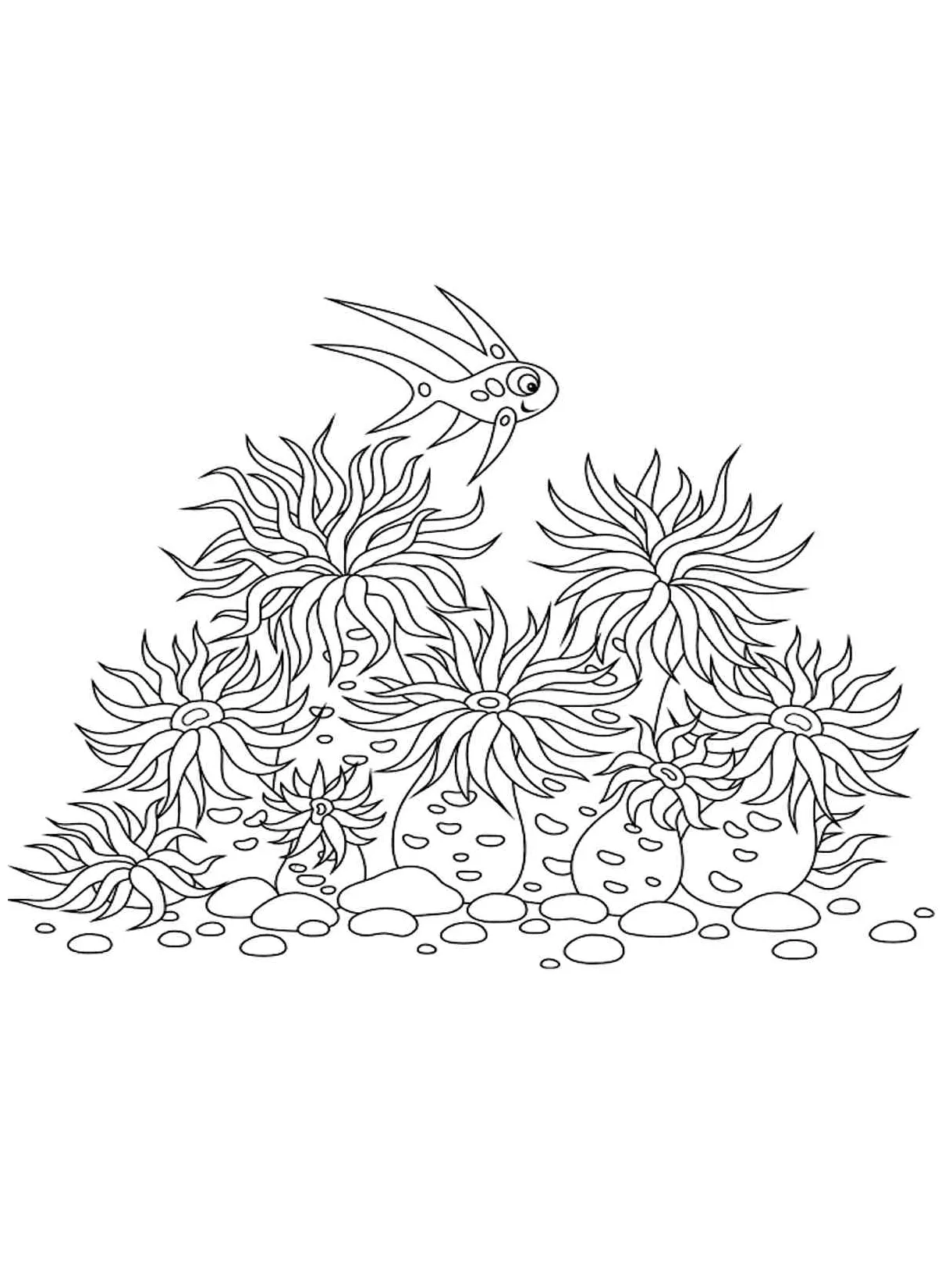 Sea Anemone coloring pages