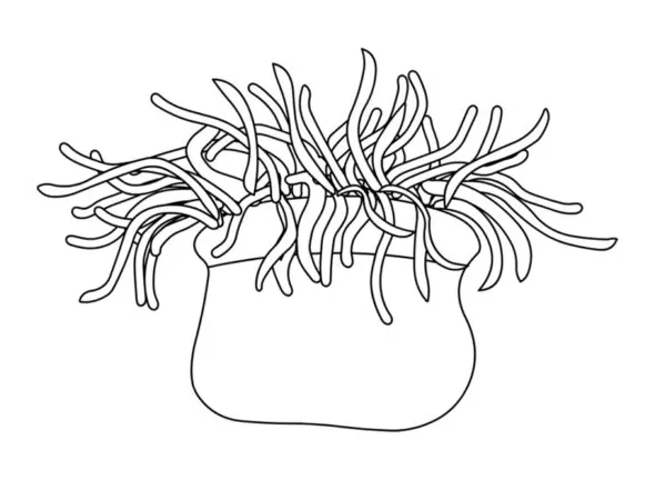 Sea anemone | Coloring Page