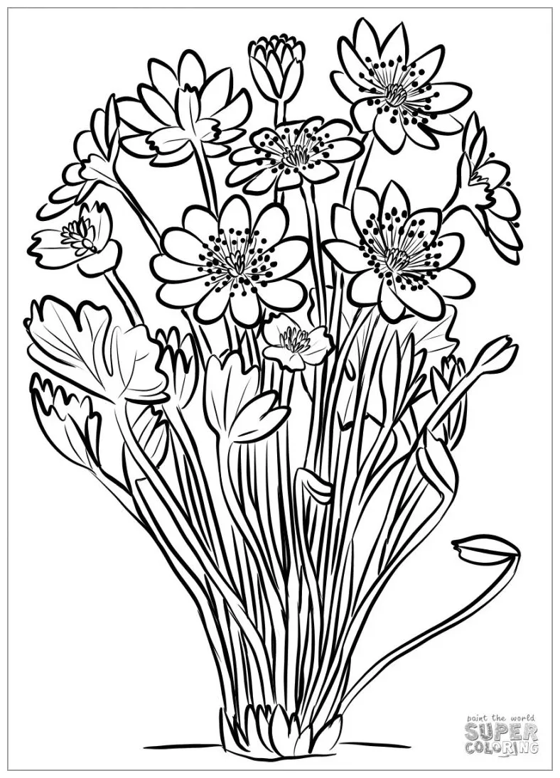 Anemone Coloring Pages - ColoringBay