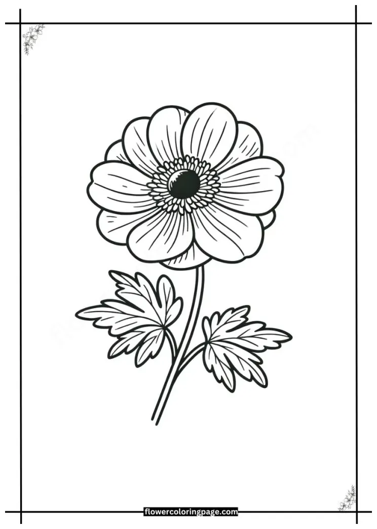 Japanese Anemone Coloring Pages Free Printable PDF - Flower Coloring Page