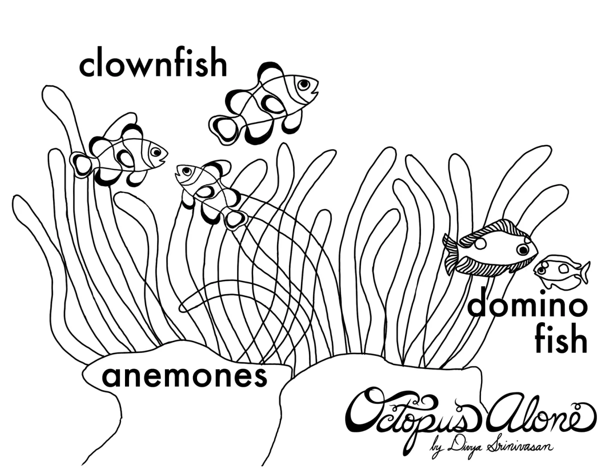 Anemone Coloring Page at GetColorings.com | Free printable colorings