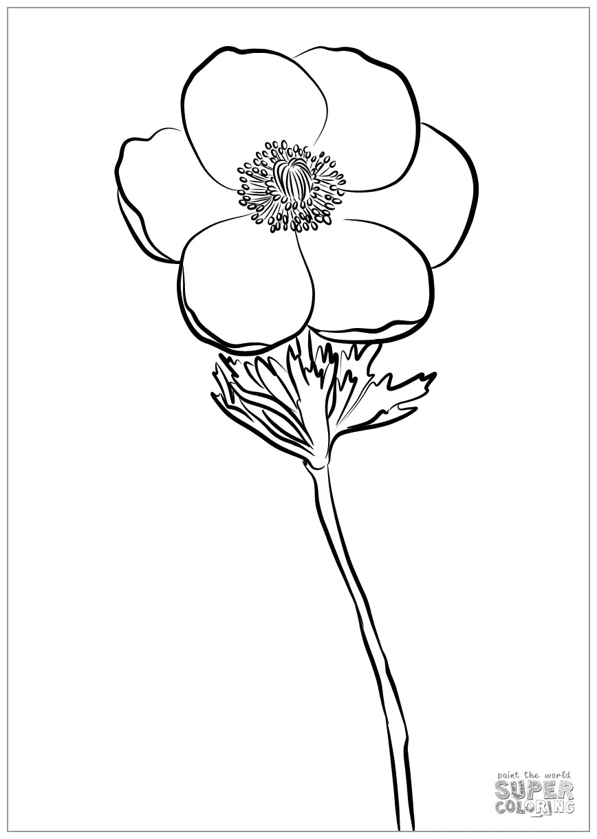 Anemone Coloring Pages - ColoringBay