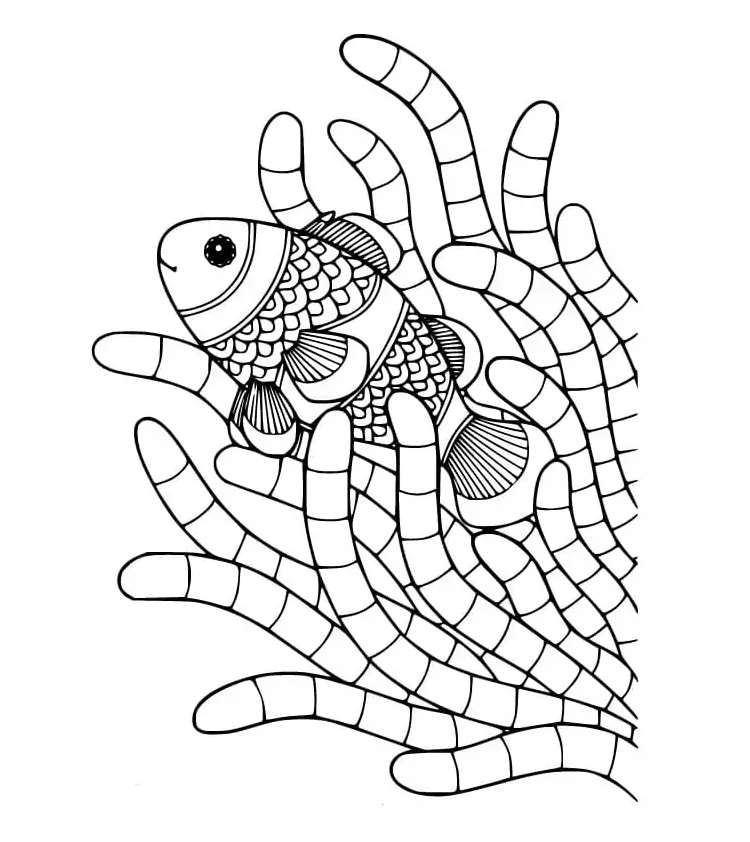 Sea Anemone Coloring Page