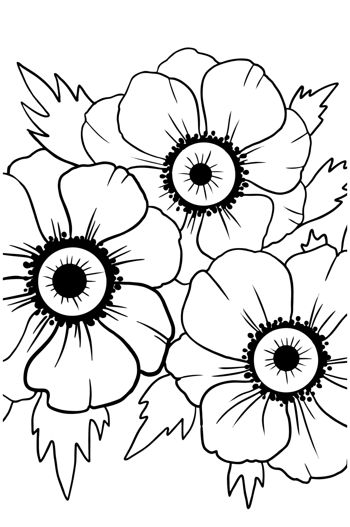 Beautiful anemone - Flowers Coloring Pages for Adults Online