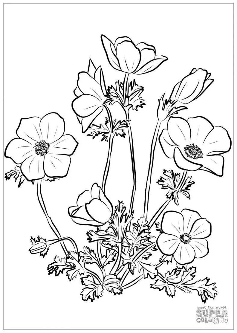 Sea Anemone and Snail Coloring Page - ColoringBay