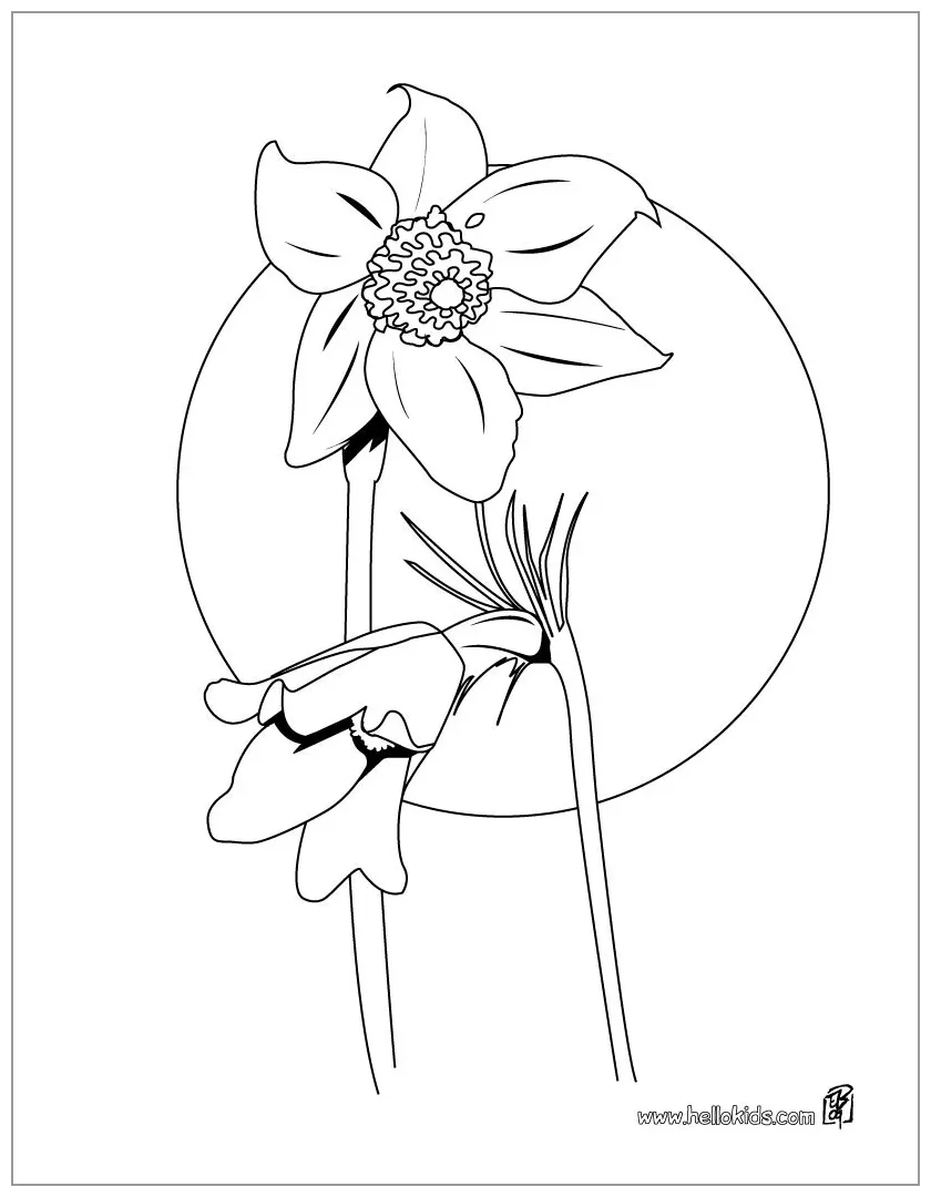 Anemone Coloring Pages - ColoringBay