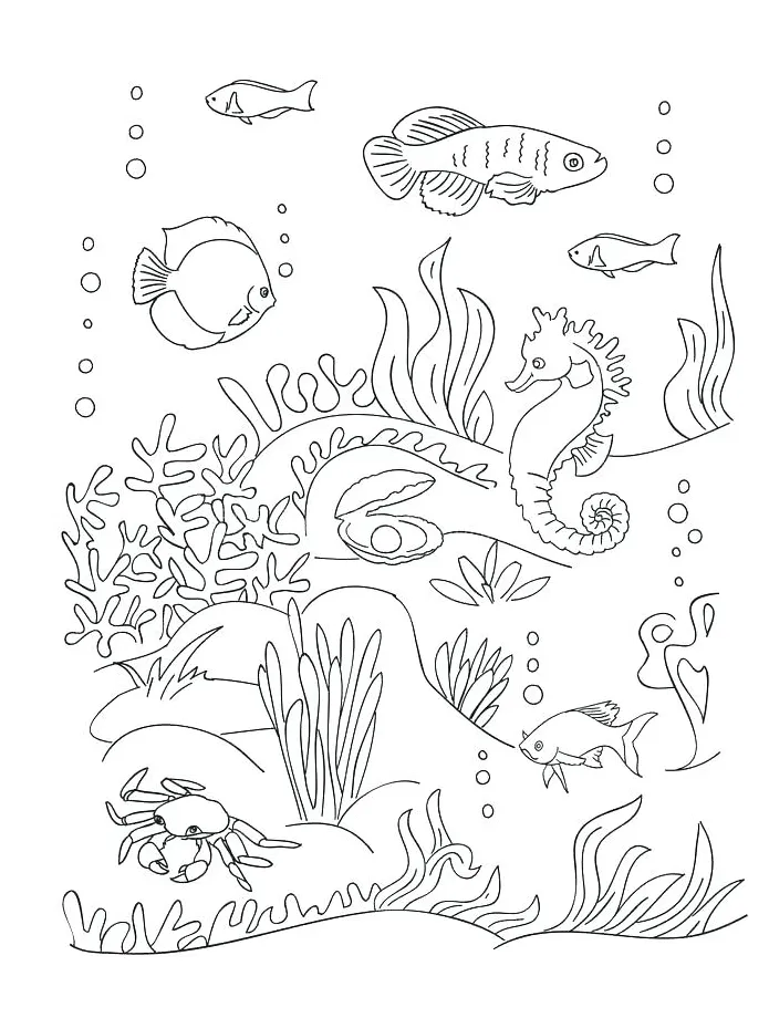 Anemone coloring page at getcolorings free printable colorings