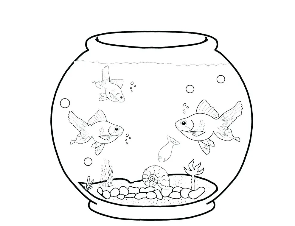 Anemone coloring page at getcolorings free printable colorings
