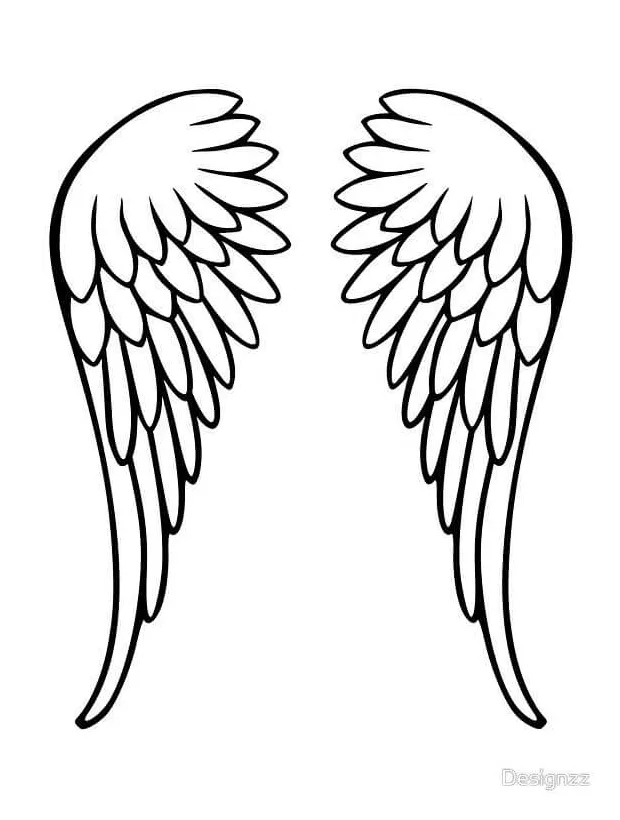 Angel wings 3
