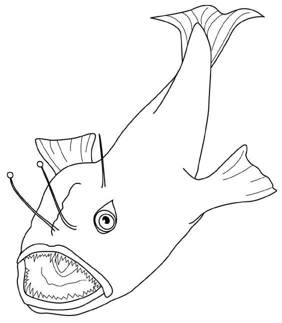 Coloring anglerfish picture