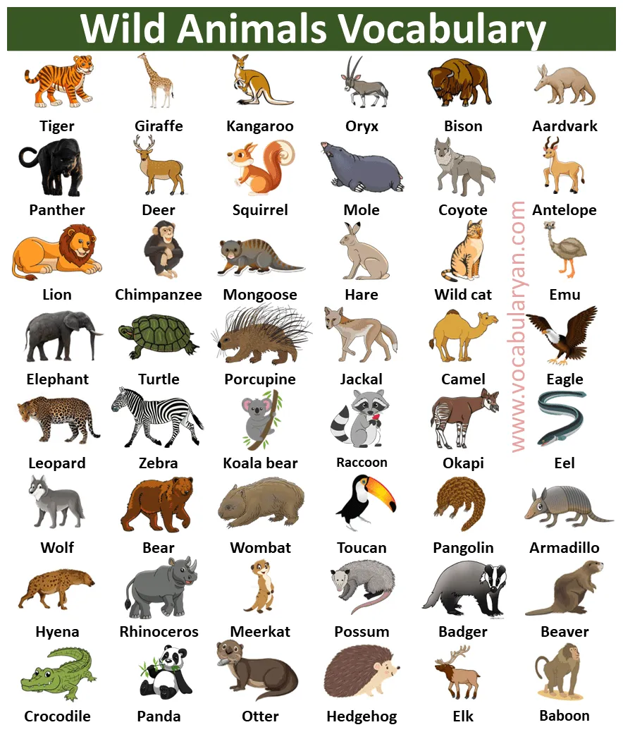 180+ wild animal names list with pictures vocabularyan