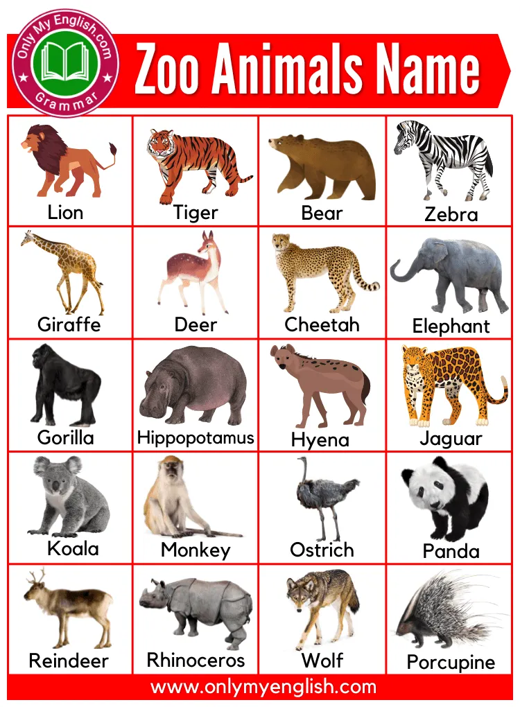 100 most common zoo animals list with pictures zoo animals list, zoo