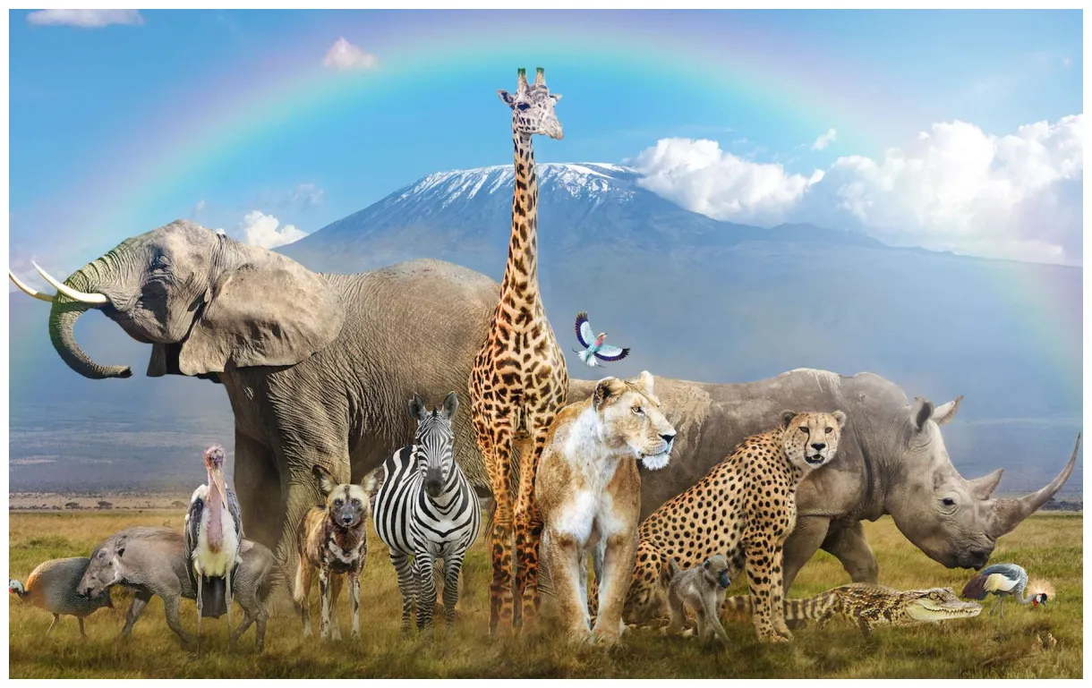 Les animaux vont-ils au paradis ? you eternity