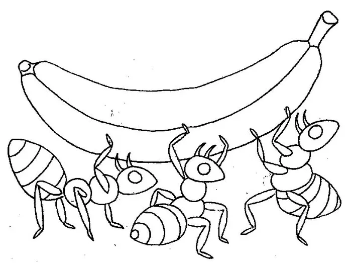 Ant Food Coloring Page & coloring book. 6000+ coloring pages.