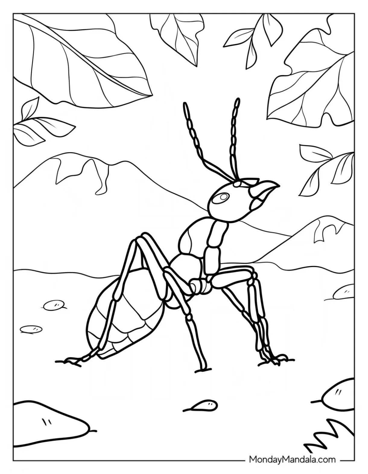 Ant coloring page