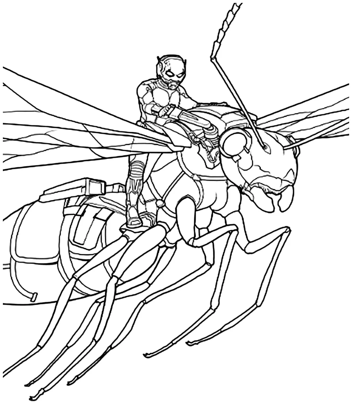 Ant man riding download, print or color online for free