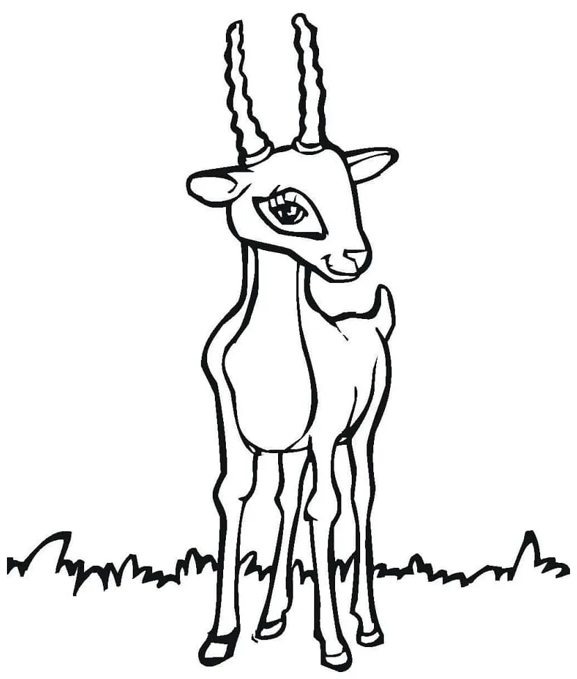 Antelope 1 coloring page free printable coloring pages for kids printable coloring page