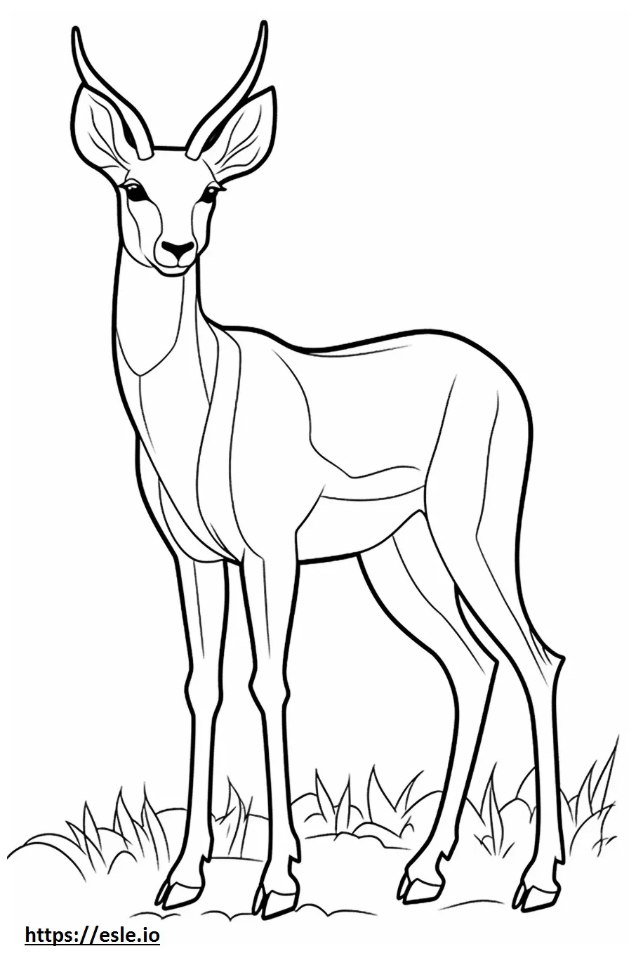 Antelope friendly coloring page