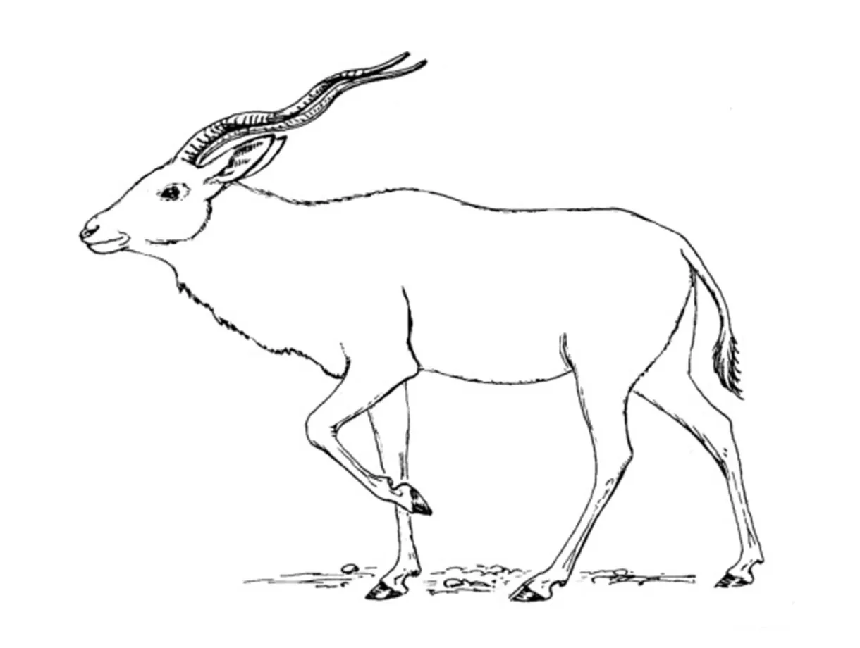 At getcolorings free printable colorings