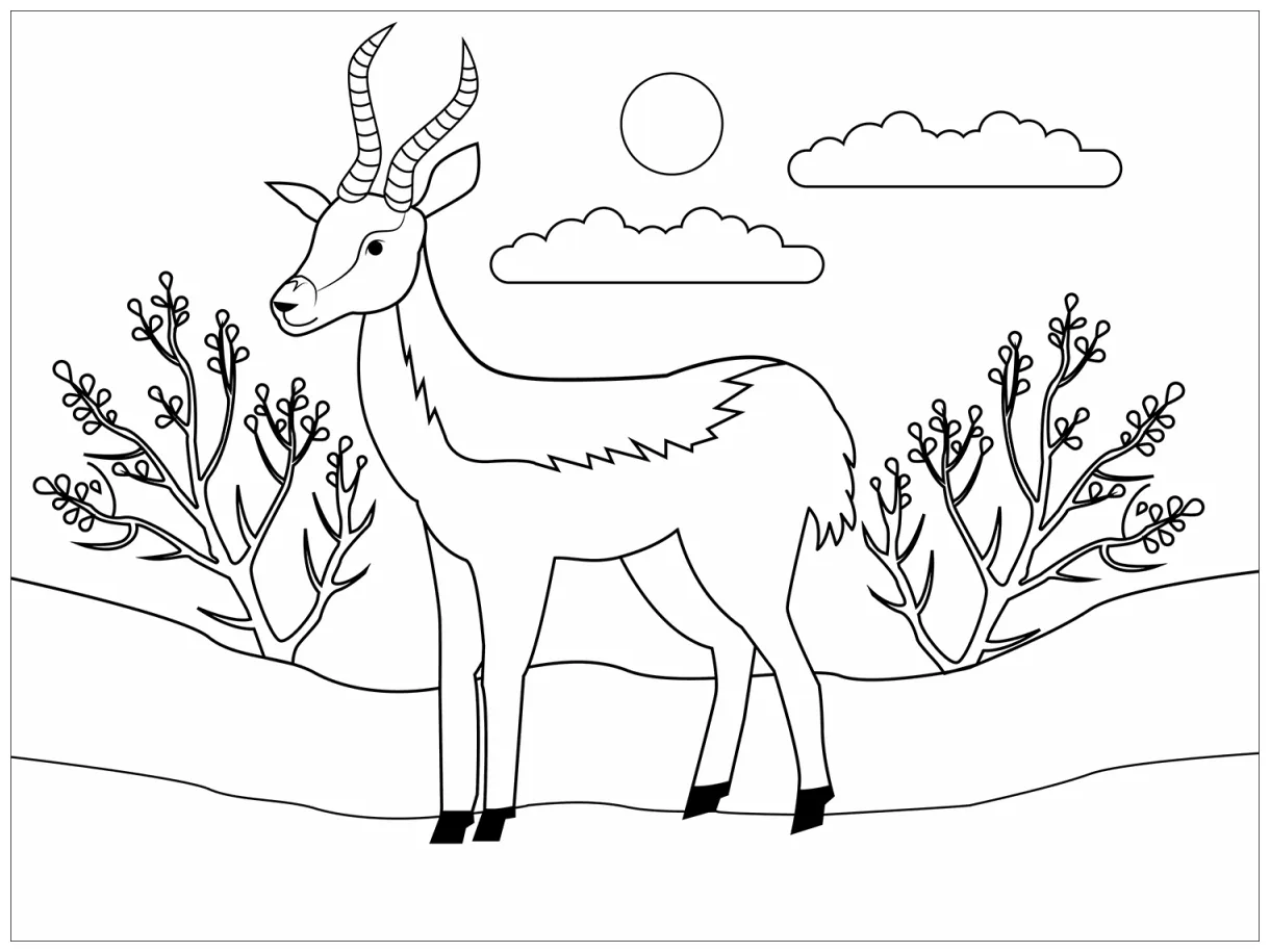 Colouringpages