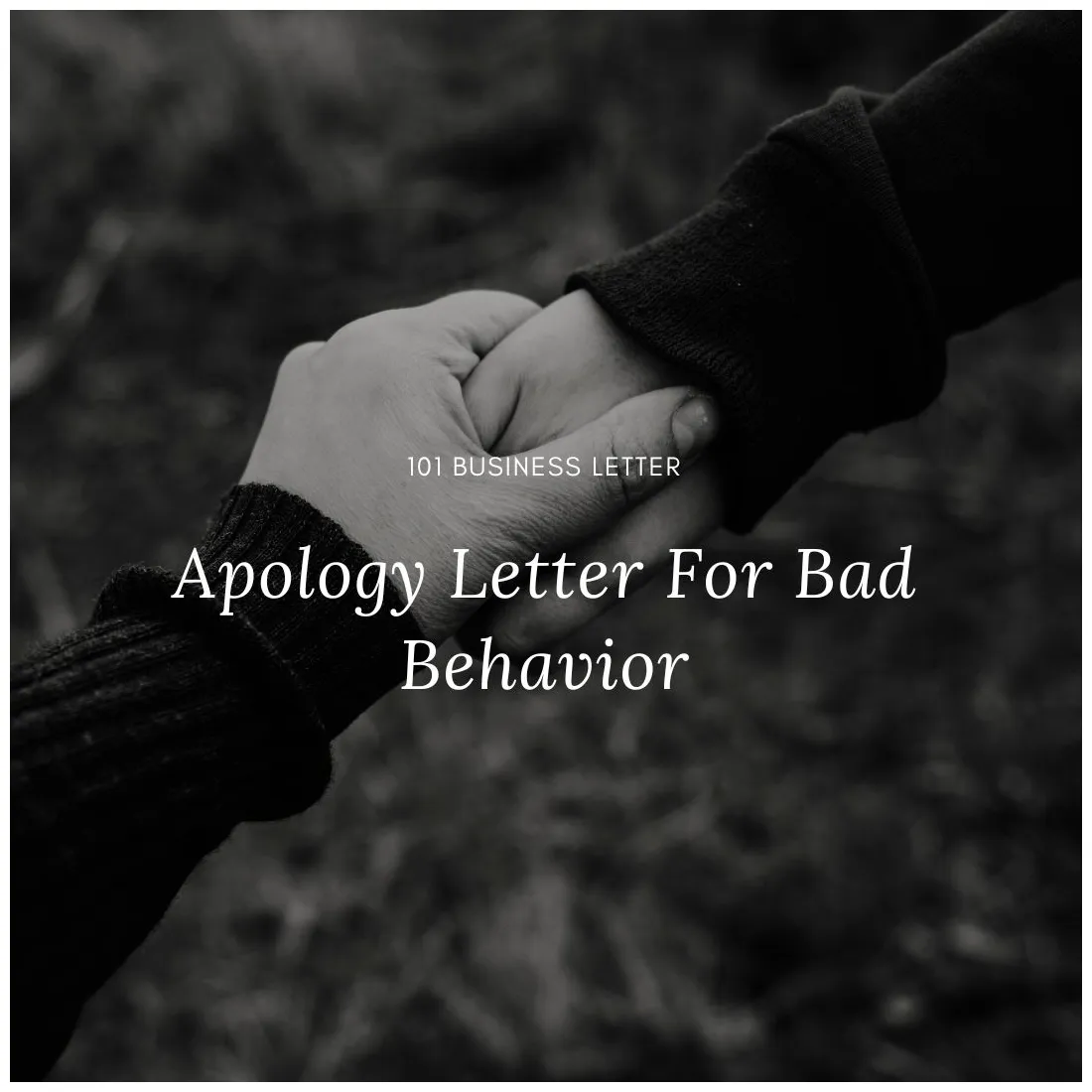 How do i write an apology letter for bad behavior infoupdate