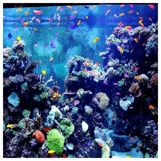 Aquarium Sounds - App on Amazon Appstore