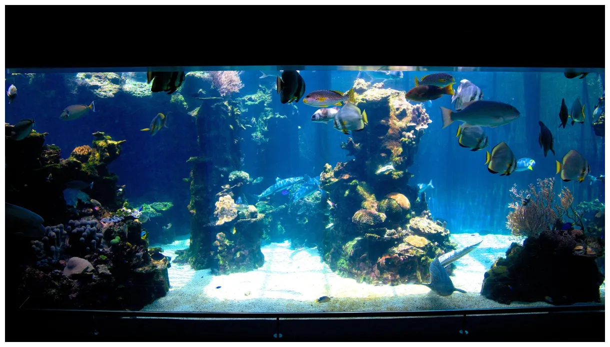 Aquarium des lagons, ncl ferienwohnungen, ferienhäuser und mehr fewo printable coloring page