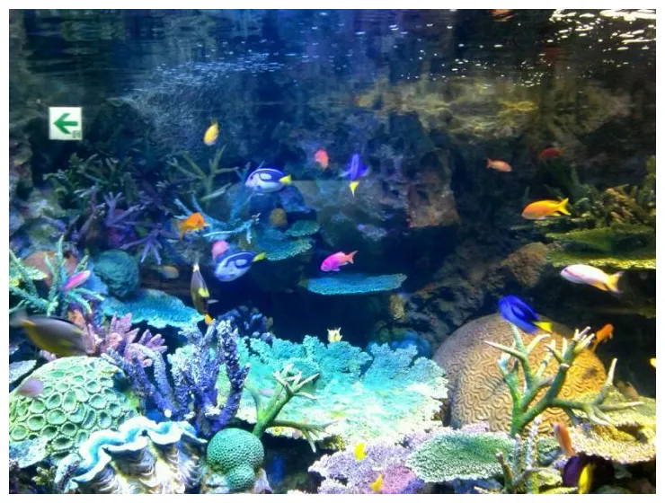 サンシャイン水族館 sunshine aquarium aquarium, sunshine, fish tank